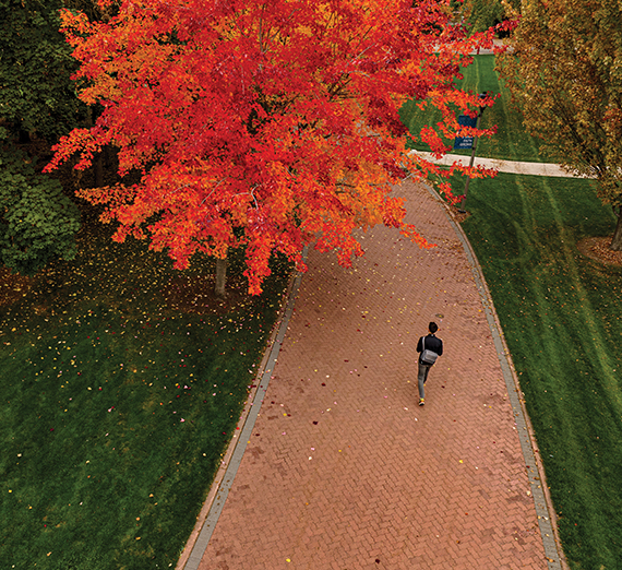 Women's rowing team members packing bags at Second Harvest warehouse